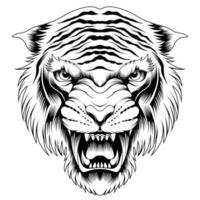 illustrazione vettoriale testa di tigre