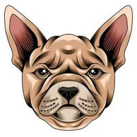 illustrazione vettoriale di bulldog francese