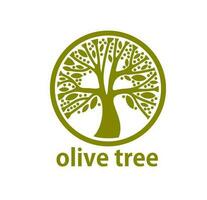 oliva albero icona, oliva olio etichetta, verde pianta foglia vettore