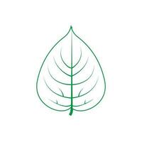 verde foglia vettore icona. botanica illustrazione cartello . ecologia simbolo. eco cartello.