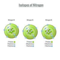 isotopi di azoto 3d vettore illustrazione