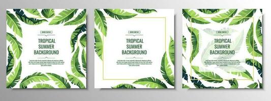 impostato di tropicale carte, striscioni, sfondi, volantini con verde palma le foglie. estate illustrazione per stampa inviti, carte, eccetera vettore