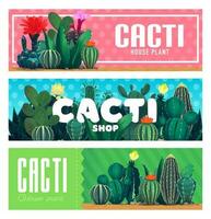 Casa cactus succulente, deserto impianti e fiori vettore