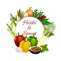 spezie, erbe aromatiche, cibo condimenti e condimenti vettore
