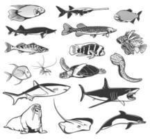 mare pesce e oceano animale isolato icone vettore