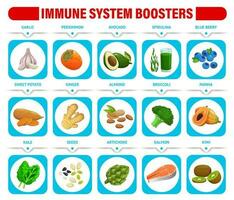 immune sistema booster grafico con salutare cibo vettore