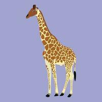un' bellissimo giraffa vettore arte opera.