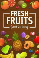 azienda agricola raccolto, biologico frutta e frutti di bosco vettore