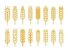 cereale orecchio o spuntone schema icone. Grano o orzo vettore