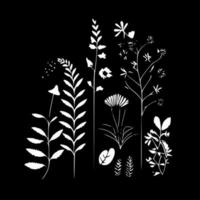 botanico - nero e bianca isolato icona - vettore illustrazione