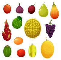 frutta tropicale esotico e azienda agricola giardino piatto icone vettore