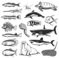 mare pesce e animale isolato vettore icone