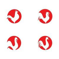 modello di logo del gallo vettore