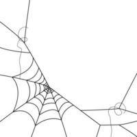 ragno ragnatela sfondi. ragnatela sfondo. illustrazione di un' ragnatela. vettore ragno ragnatela su bianca. ragno ragnatela elementi per arredamento. ragnatela.