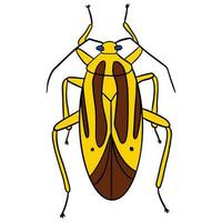 unico giallo Marrone scarafaggio ,Bene per grafico design risorse, manifesti, striscioni, modelli, stampe, colorazione libri e di più. vettore