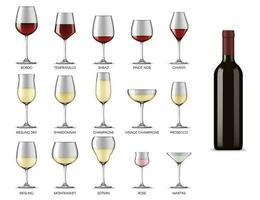vino bicchieri tipi, bianca e rosso vino bevanda tazze vettore