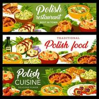 polacco cucina ristorante piatti vettore banner