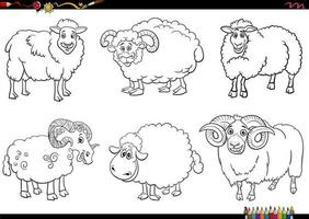 cartone animato pecora azienda agricola animale personaggi impostato colorazione pagina vettore