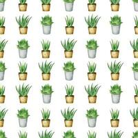 aloe Vera pianta nel un' pentola. interno impianti. acquerello senza soluzione di continuità modello su un' bianca sfondo. per confezione cosmetici, scrapbooking, involucro carta vettore