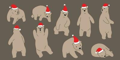 orso vettore Natale polare orso Santa Claus cappello icona logo orsacchiotto cartone animato personaggio illustrazione scarabocchio Marrone