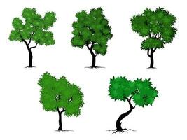 collezione di piatto alberi icona. può essere Usato per illustrare qualunque natura o salutare stile di vita argomento. vettore