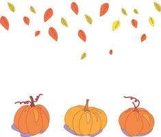 un' impostato di zucche. vettore collezione di zucche su un' bianca sfondo. elementi per autunno decorativo disegno, Halloween inviti, raccogliere ringraziamento