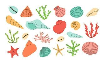 impostato di colorato vettore mano disegnare conchiglie, stelle marine, coralli, alga marina. isolato design elementi. estate vacanza collezione, tropicale spiaggia conchiglie.