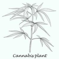 semplicità pianta di cannabis disegno a mano libera design piatto. vettore