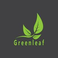 verde foglia natura pianta concettuale simbolo vettore illustrazione