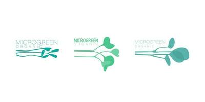 impostato di floristica loghi per microverdi, simboli di biologico prodotti. mini impianti per germinazione. vettore di moda piatto illustrazioni per design.