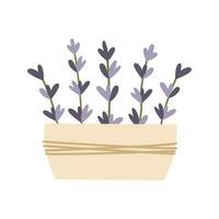 ceramica pentola con mano disegnato lavanda fiori. vettore illustrazione. semplice piatto stile.