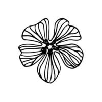 papaveri fiori continuo linea disegno. modificabile linea. nero e bianca arte. illustrazione. vettore