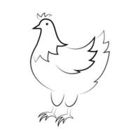 pollo logo vettore design