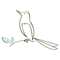 uccello logo vettore illustrazione design