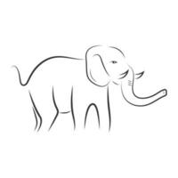 elefante vettore illustrazione design