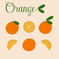 vettore illustrazione. arancia collezione nel un' piatto stile.