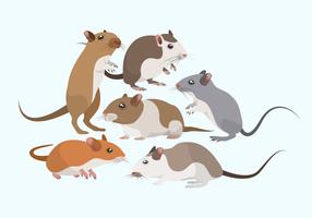 Collezione di mouse roditori vettoriale