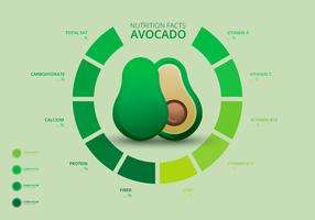 Fatti nutrizionali dei modelli di Avocado Infographic