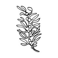 botanico senza soluzione di continuità modello, mano disegnato, linea arte foglie, illustrazione, vettore su bianca
