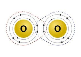 vettore illustrazione di il ottetto regola si riferisce per il tendenza di atomi per preferire per avere otto elettroni nel il valenza guscio, per esempio il accoppiamento di ossigeno atomi su un' bianca sfondo.