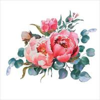 acquerello floreale illustrazione isolato su bianca sfondo. bianca e rosa peonie, verde foglie, eucalipto rami. mazzo perfettamente per stampa design su inviti, carte. vettore