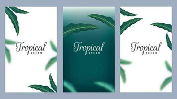 impostato di tropicale sognare modello design decorato naturale le foglie su verde e bianca sfondo. vettore