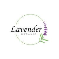 mano disegnato biologico lavanda fiore logo modello design.logo per cosmetici, bellezza, tè, olio, erba. vettore