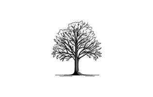 albero schema schizzo disegno vettore, albero logo icona, albero logo arte disegno, pianta pulito semplice icona, albero icona schema stile, albero silhouette vettore