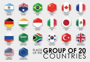 bandiere di il g20 Paesi. semplice esagono forma design. nazionale bandiere icona impostare. vettore illustrazione su grigio sfondo