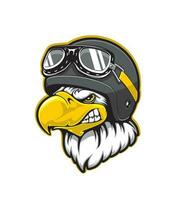 pilota aquila uccello mascotte, aviatore casco, occhiali vettore