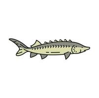 pesca industria storione pesce schema icona vettore