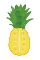 mano disegnato ananas illustrazione isolato su bianca sfondo. fresco estate frutta illustrazione. vettore