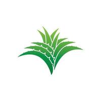 aloe Vera logo icona design simbolo bellezza vettore