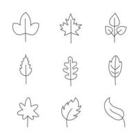 minimalista foglia collezione. mano disegnato ramo, le foglie erbe aromatiche e selvaggio impianti impostato nel linea stile. vettore